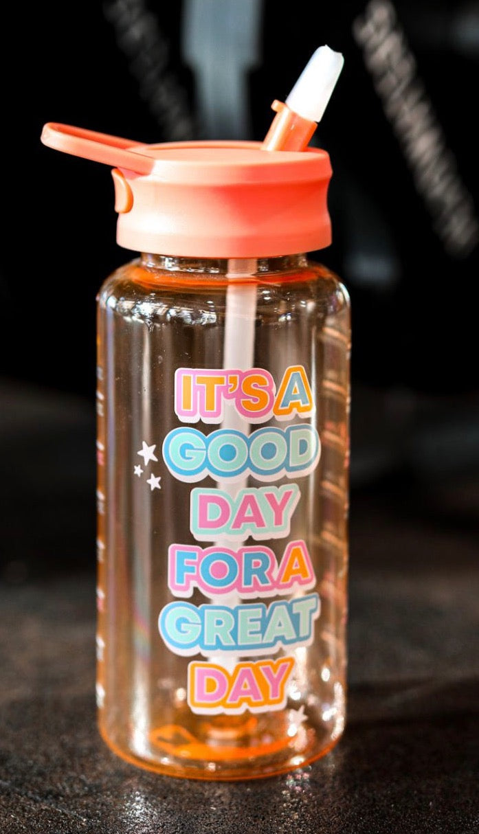 Water Bottle (Orange) - It's A Good Day For A Great Day - 6 Pack
